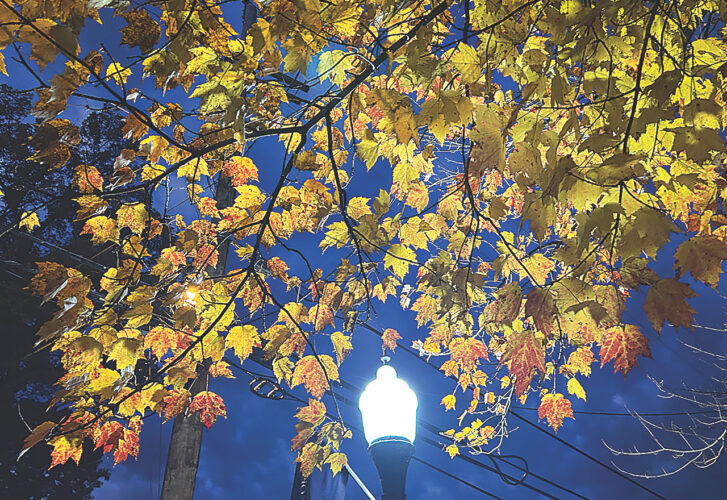 Evening glow